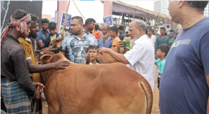 জমে উঠেছে রাজধানীর গরুর হাট