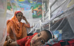 ঈদের আনন্দে ডেঙ্গু যেন বিষাদের কারণ না হয়