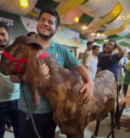 ইফাত রাজস্ব কর্মকর্তারই ছেলে, জানালেন এমপি নিজাম