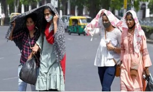 দিল্লিতে ভয়াবহ তাপপ্রবাহ, আট দিনে ১৯২ জনের মৃত্যু