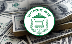 আইএমএফের ঋণে রিজার্ভ বৃদ্ধি পেয়ে ২২ বিলিয়ন ডলার