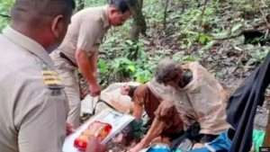 ভারতের জঙ্গলে শিকলে বাঁধা মার্কিন নারীকে ঘিরে রহস্য