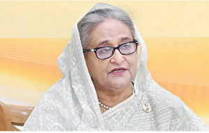 শেখ হাসিনার বিরুদ্ধে হত্যা মামলার আবেদন, আসামি অনেকেই