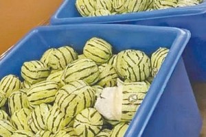 তরমুজের আদলে তৈরি মোড়কে মাদক জব্দ