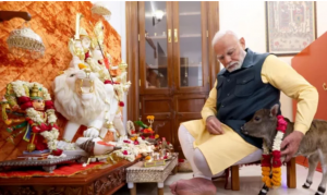 নরেন্দ্র মোদি তার বাসভবনে একটি বাছুরের সঙ্গে সময় কাটাচ্ছেন