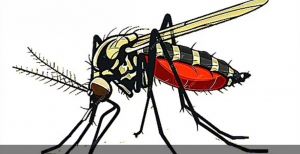 ডেঙ্গুতে একদিনে হাসপাতালে ১১২১ জন
