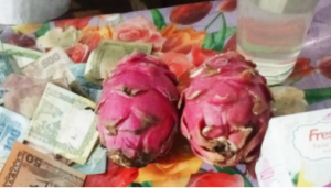 দুটি ড্রাগন ফল ৪৫ হাজার টাকায় নিলামে বিক্রি