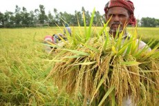 বাংলাদেশে সর্বগ্রাসী ট্যাক্সের আওতায় আসছে গরীব কৃষক!