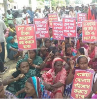 সিলেটে বকেয়া বেতনসহ বেশ কয়েকটি দাবিতে আন্দোলনে নেমেছেন চা শ্রমিকরা