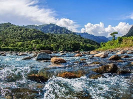 ভোলাগঞ্জ যেন এক লুটের রাজ্য