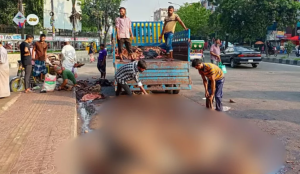 সরকারি দরের তোয়াক্কা নেই, চামড়া বিক্রি হচ্ছে কম দামে