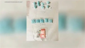 রিভারসাইডে বাবা-মা গ্রেপ্তার, শিশু নির্যাতন ও মাদক পাচারের অভিযোগ