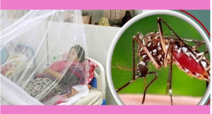 সিলেটে ডেঙ্গু সংক্রমণ: দুই নতুন রোগী সনাক্ত