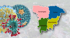 সিলেটে নতুন করে বৃদ্ধি পাচ্ছে ম্যালেরিয়ার সংক্রমণ