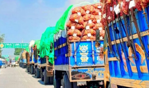 ১,৪০৭ টন আলু নেপালে, বাংলাবান্ধা সীমান্ত দিয়ে রপ্তানি