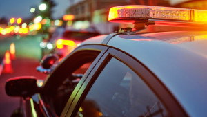 র‍্যাঞ্চো কুকামঙ্গায় কুকুরকে নির্মমভাবে মারধরের অভিযোগে এক ব্যক্তি গ্রেপ্তার