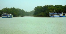 সুুন্দরবনে ট্যুরিস্ট লঞ্চে আগুন