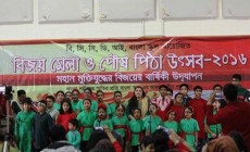 বিসিসিডিআই বাংলা স্কুলের বিজয় মেলা ও পিঠা উৎসব অনুষ্ঠিত