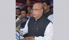 নির্বাচনে অন্য ফর্মুলা দিয়ে লাভ নেই : নাসিম
