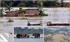 আসামে বন্যা পরিস্থিতির অবনতি, নিহত ৪৫
