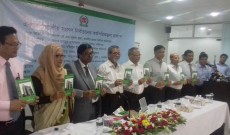 একাদশ জাতীয় নির্বাচনের রোডম্যাপ প্রকাশ