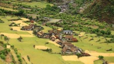 নেপালে গরু জবাই করায় গ্রেফতার ২
