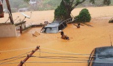 সিয়েরা লিয়নে ভূমিধসে নিহত ২০৫