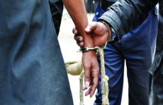 ঢাবির ভর্তি পরীক্ষায় প্রশ্নপত্র জালিয়াতি, আটক ৮