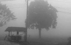 ৫০ বছরের রেকর্ডভাঙা তাপমাত্রা, তীব্র শীতে কাঁপছে দেশ