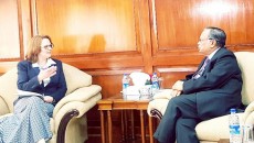 রোহিঙ্গা সংকটে যুক্তরাষ্ট্রকে আরও জোরালো ভূমিকা রাখার আহ্বান বাংলাদেশের